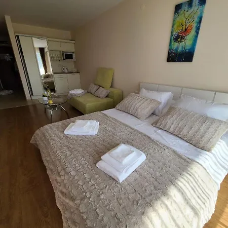 Apartment Premier 4*